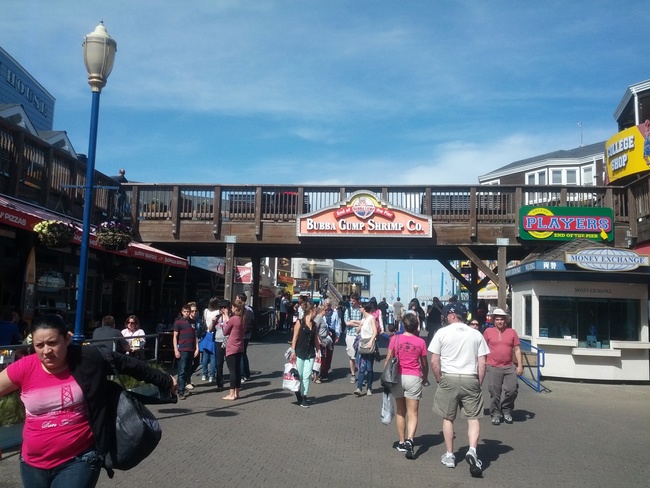 IMG_20140319_144906.jpg