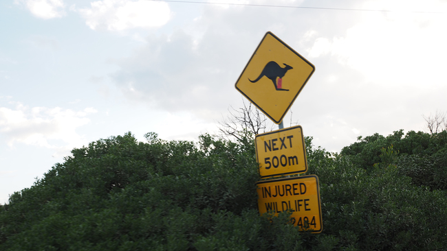 P9260460cropped.jpg
