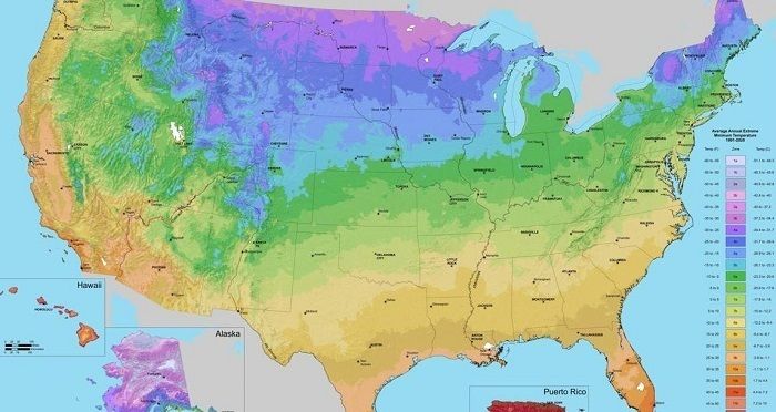 Why Are Garden Centers Pushing Zone Specific Plants Based on the USDA Plant Hardiness Zone Map.JPG